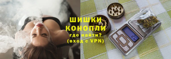 сатива Верхний Тагил