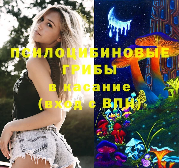 сатива Верхний Тагил