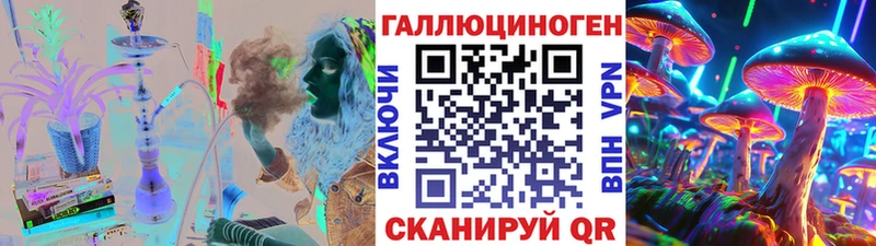 магазин    Новохопёрск  Псилоцибиновые грибы Psilocybe 
